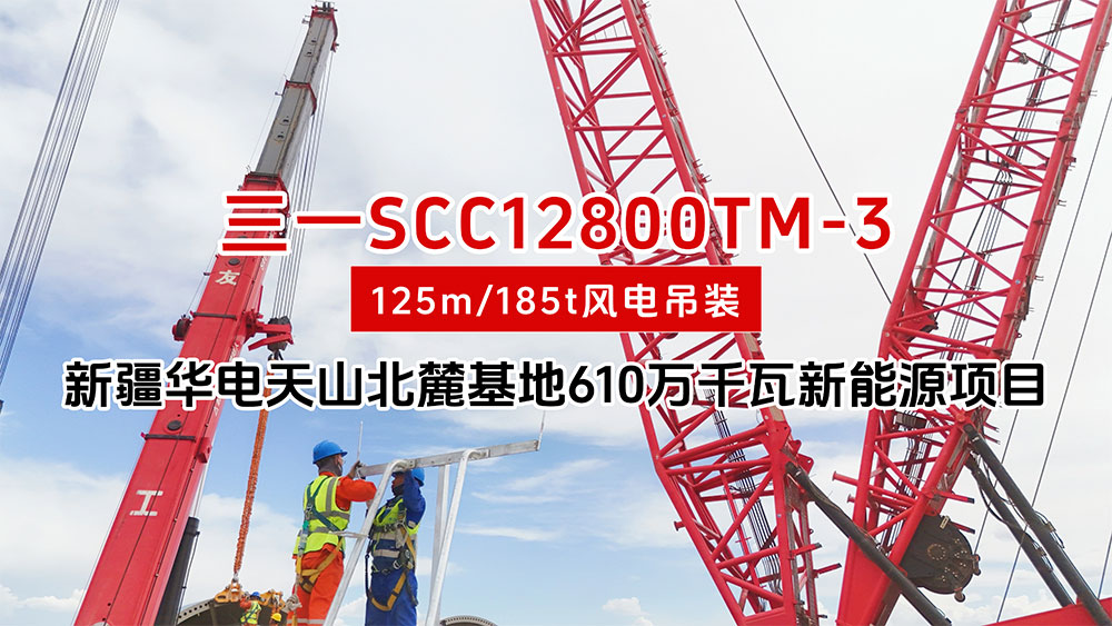 戈壁滩上的“追风者”：他们用双手驭风而行